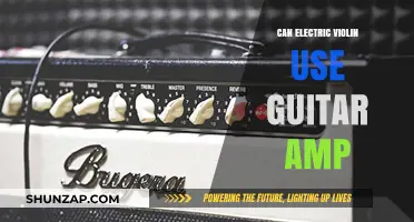 Electric Violin and Guitar Amp: Compatibility and Sound Exploration