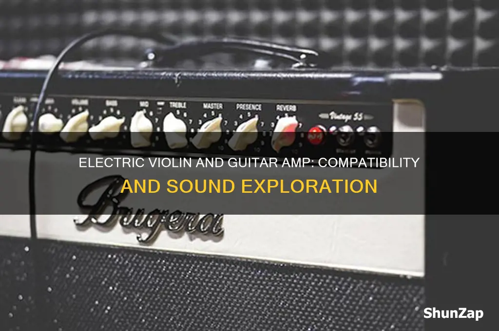 can electric violin use guitar amp