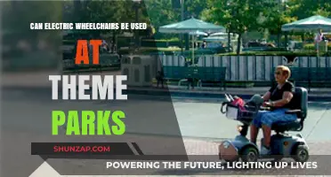 Exploring Theme Parks: Electric Wheelchair Accessibility Guide