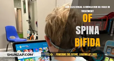 Electrical Stimulation: A Potential Treatment for Spina Bifida?