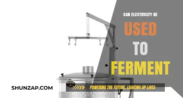 Electricity's Role in Fermentation: A Revolutionary Brewing Technique