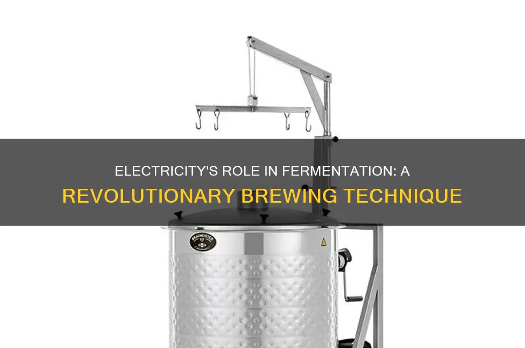 can electricity be used to ferment