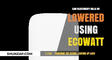 Lower Electricity Bills with EcoWatt: A Cost-Effective Energy Solution