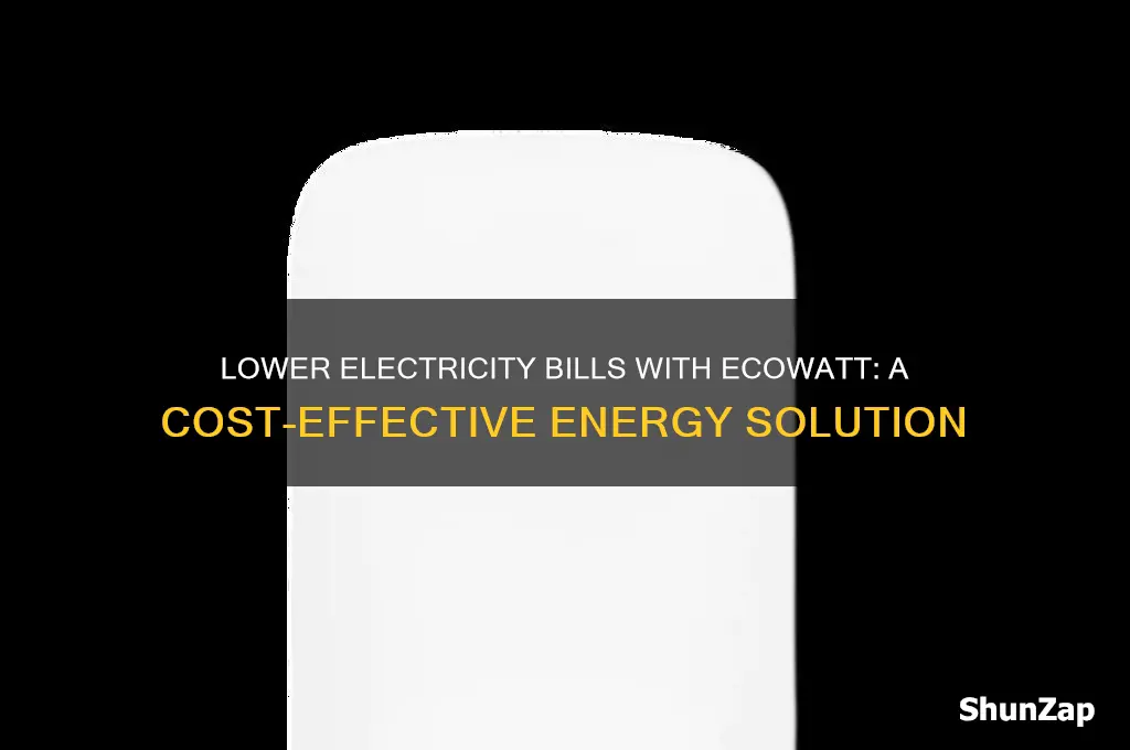 can electricity bills be lowered using ecowatt