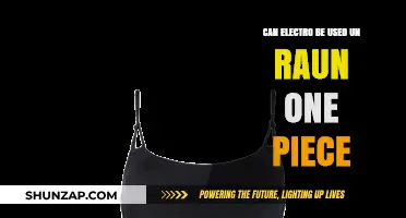 Electro's Power: Can It Be Utilized in the World of One Piece?