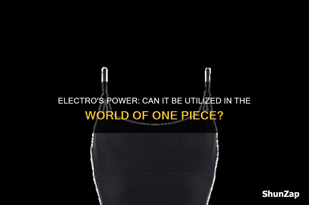 can electro be used un raun one piece