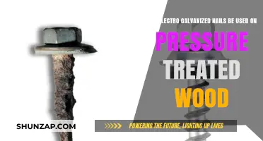 Electro Galvanized Nails: Safe for Pressure Treated Wood Projects?