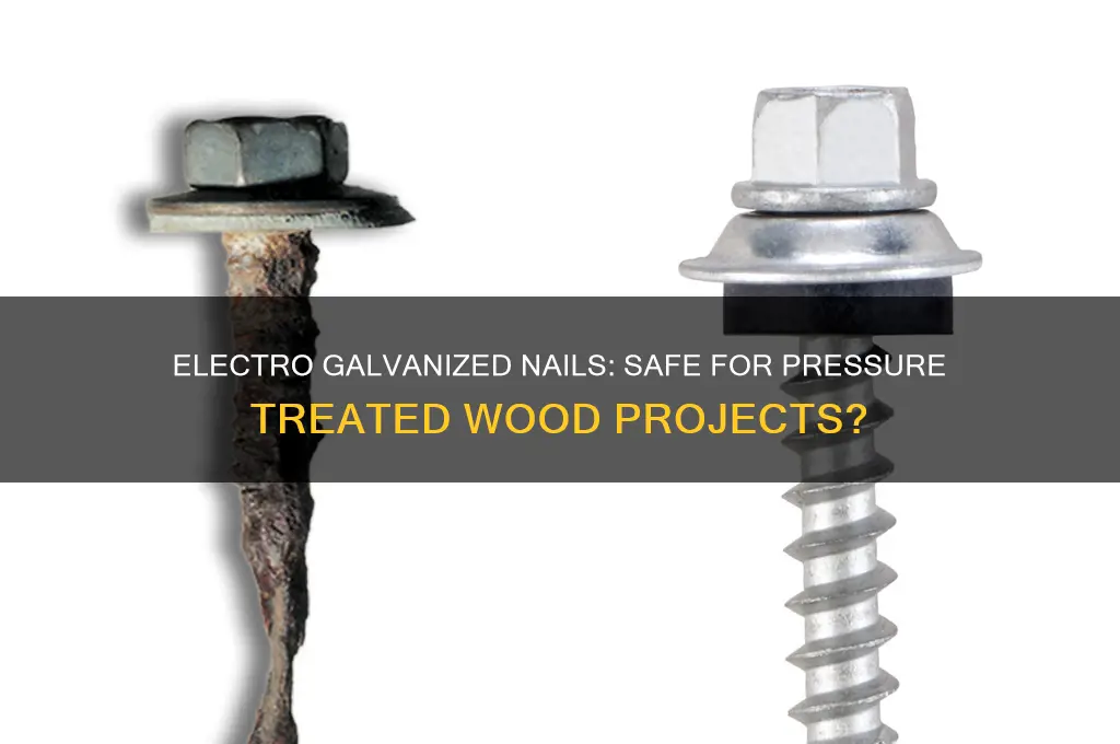 can electro galvanized nails be used on pressure treated wood