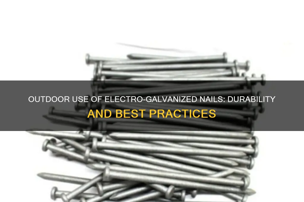can electro galvanized nails be used outdoors