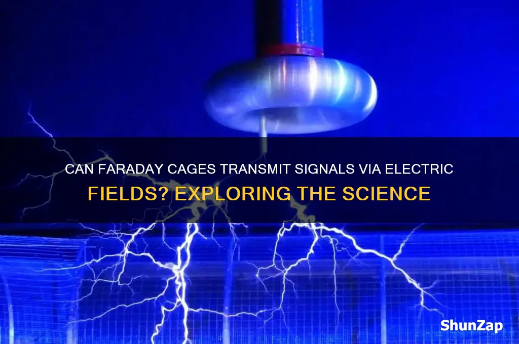can faraday cages transmit signals using electric fields