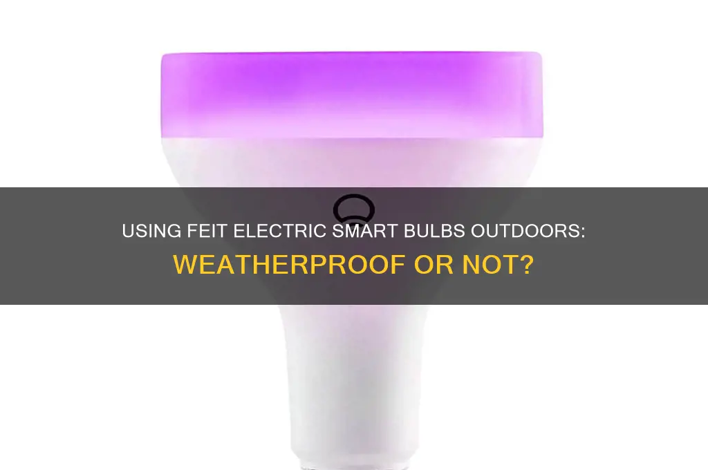 can feit electric smart bulbs be used outside