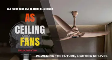 Floor Fans vs. Ceiling Fans: Which Uses Less Electricity?