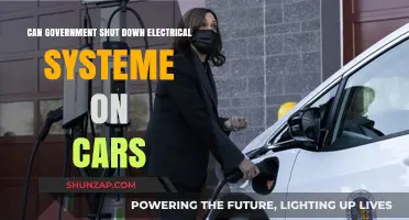Can Governments Disable Electric Vehicles? Exploring Legal and Technical Aspects
