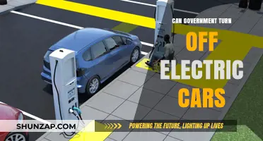 Can Governments Disable Electric Vehicles? Exploring Legal and Technical Possibilities