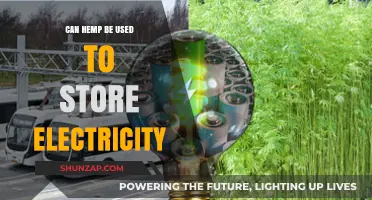 Hemp's Potential as a Sustainable Electricity Storage Solution