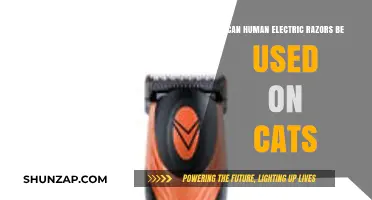 Can Human Electric Razors Safely Groom Cats? Expert Advice