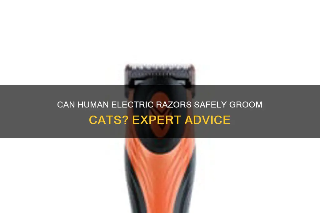 can human electric razors be used on cats