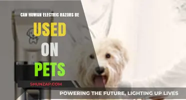 Human Electric Razors for Pets: Safe or Risky Grooming Choice?