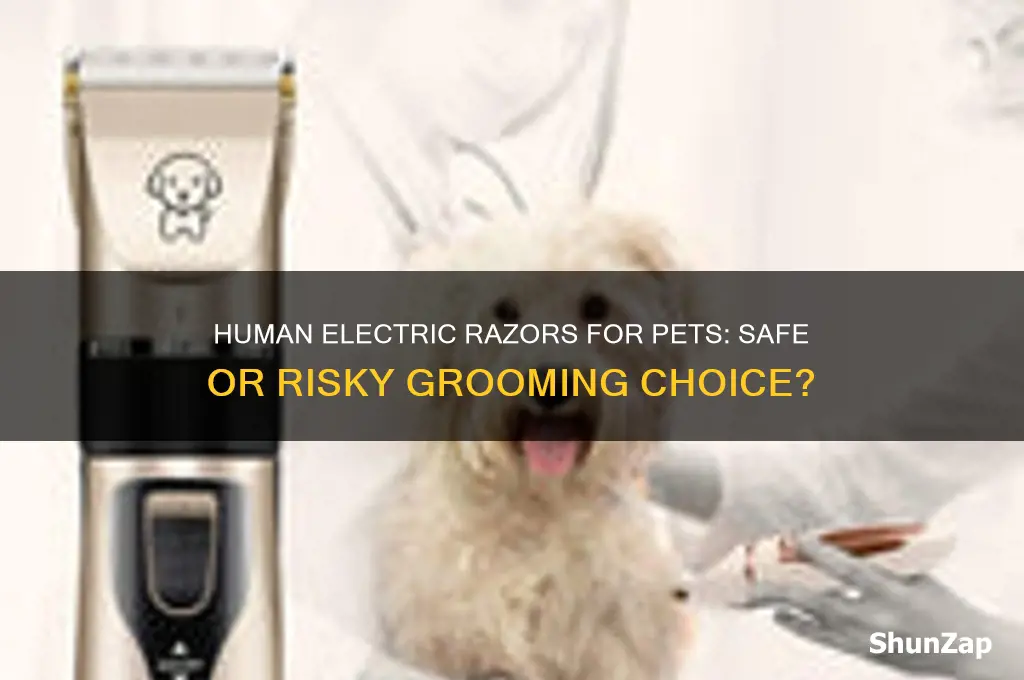 can human electric razors be used on pets