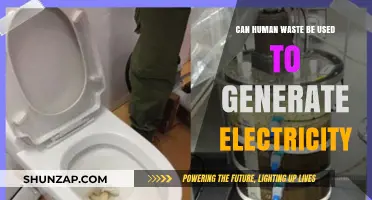 Turning Human Waste into Watts: The Power of Poop Energy