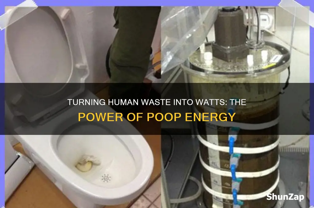 can human waste be used to generate electricity