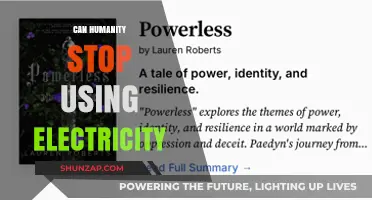 Can Humanity Survive Without Electricity? Exploring a Powerless Future