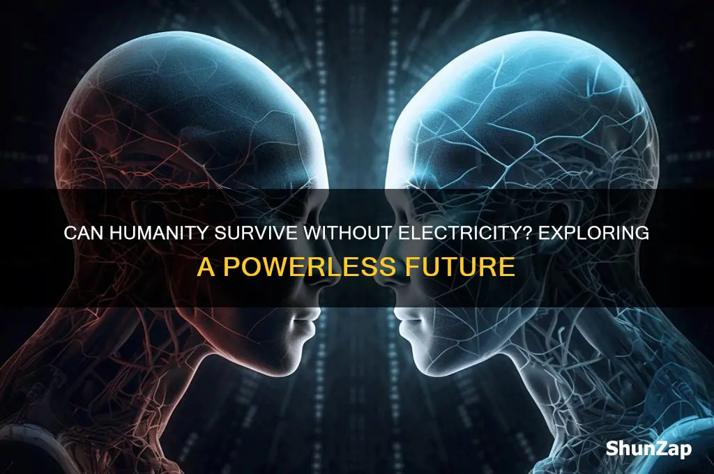 can humanity stop using electricity