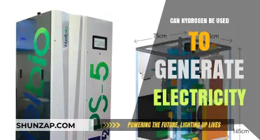 Hydrogen Power: A Clean Electricity Generation Alternative for the Future?