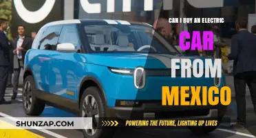 Buying an Electric Car from Mexico: What You Need to Know