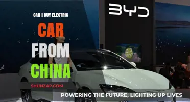 Buying Electric Cars from China: What You Need to Know