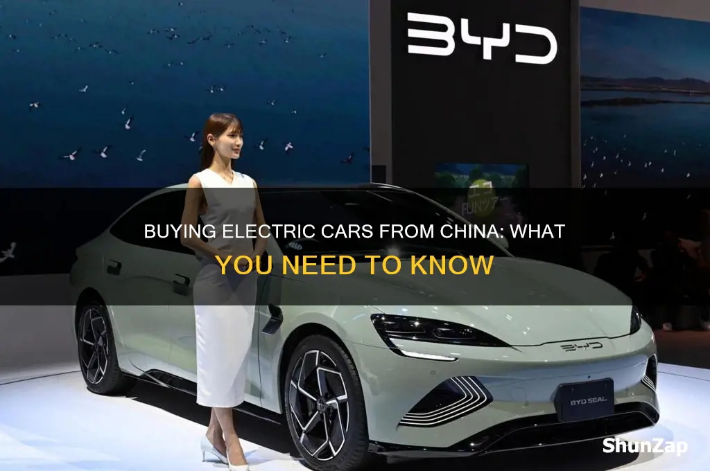 can i buy electric car from china