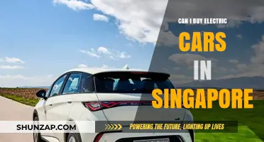 Exploring Electric Car Options and Availability in Singapore