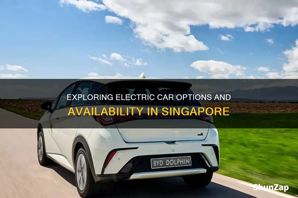 can i buy electric cars in singapore