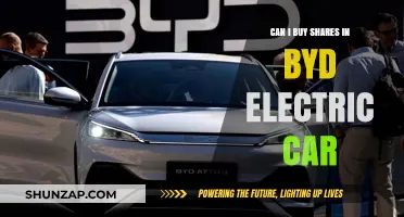 Investing in BYD: Can You Buy Shares in the Electric Car Giant?