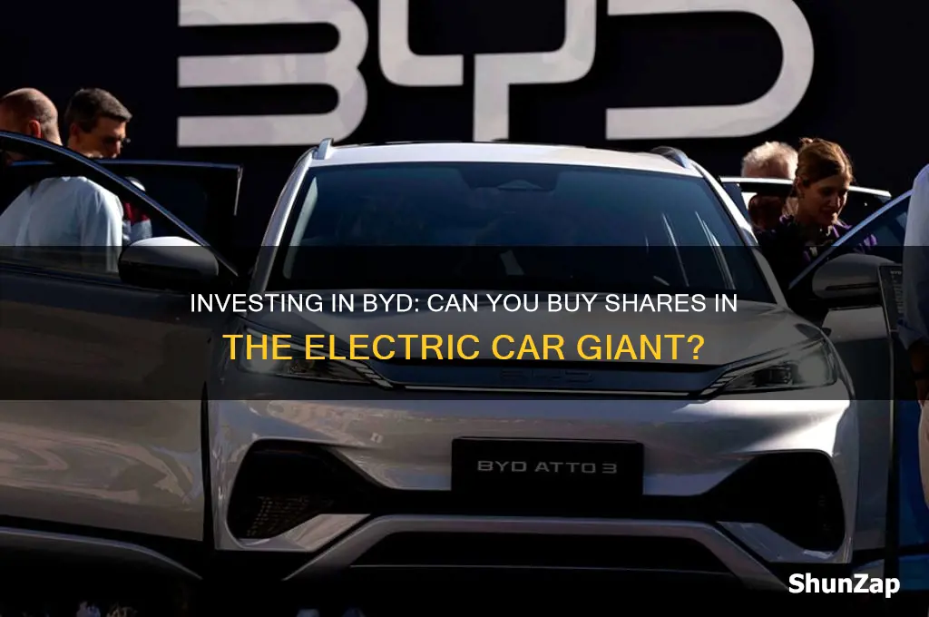 can i buy shares in byd electric car