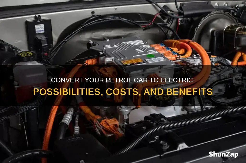 can i convert my petrol car to electric