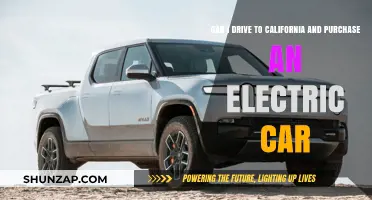 Driving to California: Your Guide to Buying an Electric Car