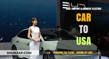 Importing Chinese Electric Cars to the USA: Legalities and Logistics