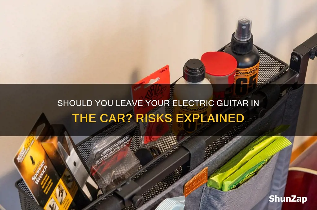 can i leave my electric guitar in the car