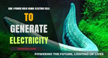 Powering Bulbs with Electric Eels: Shocking Electricity Generation Ideas