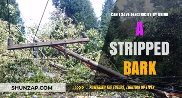 Save Electricity with Stripped Bark: Fact or Fiction?