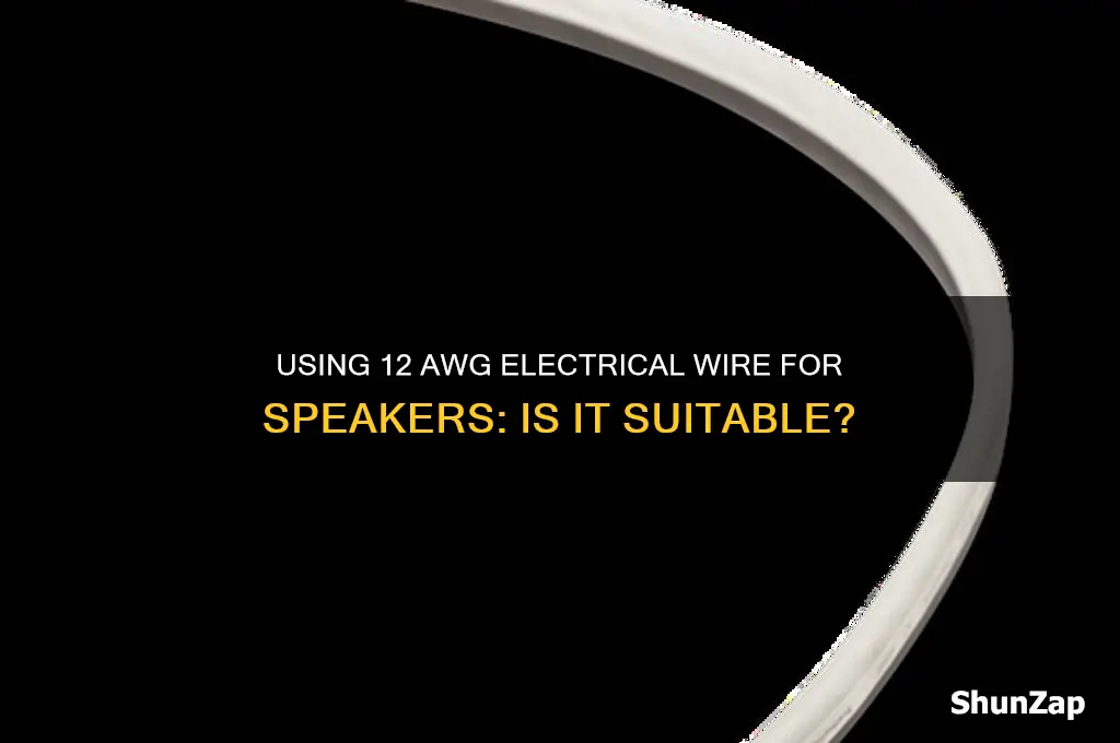 can i use 12 awg electrical wire for speakers