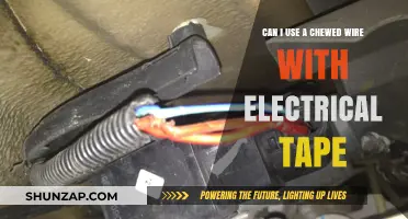 Chewed Wire and Electrical Tape: Safe Fix or Serious Hazard?