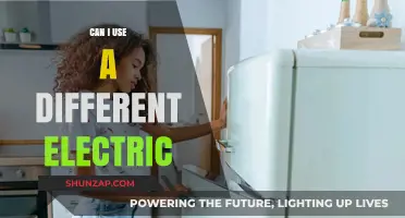 Can You Use a Different Electric Appliance Safely? Expert Tips
