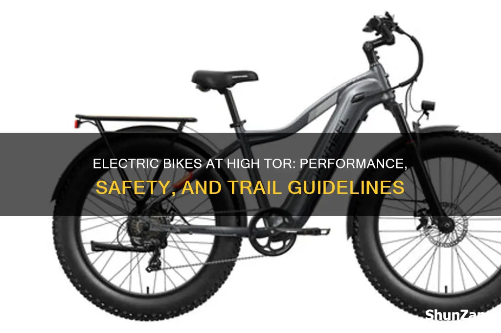 can i use a electric bike at high tor