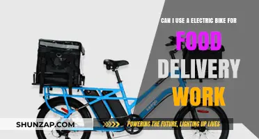 Electric Bikes for Food Delivery: Efficient, Eco-Friendly, and Cost-Effective?