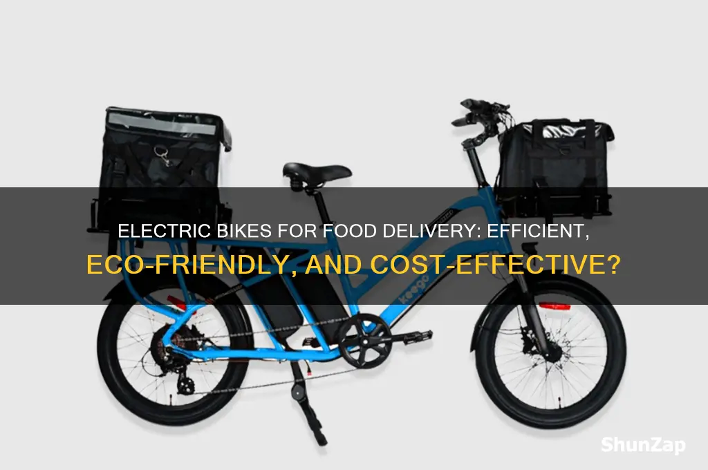 can i use a electric bike for food delivery work