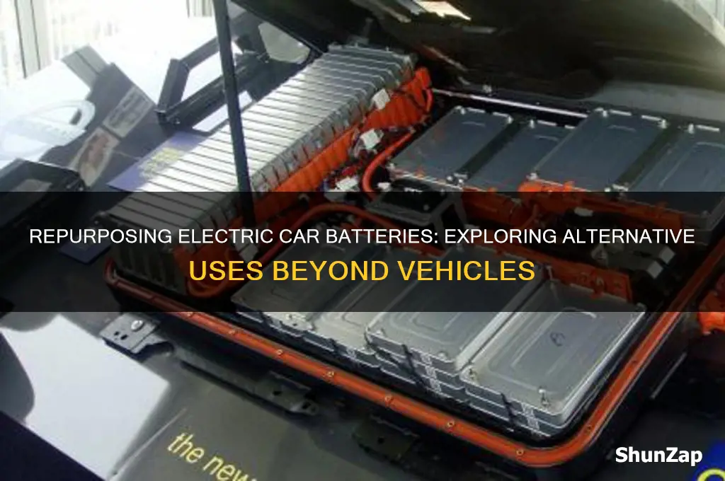 can i use a electric car