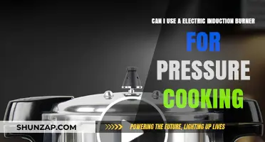 Electric Induction Burner for Pressure Cooking: Compatibility and Tips