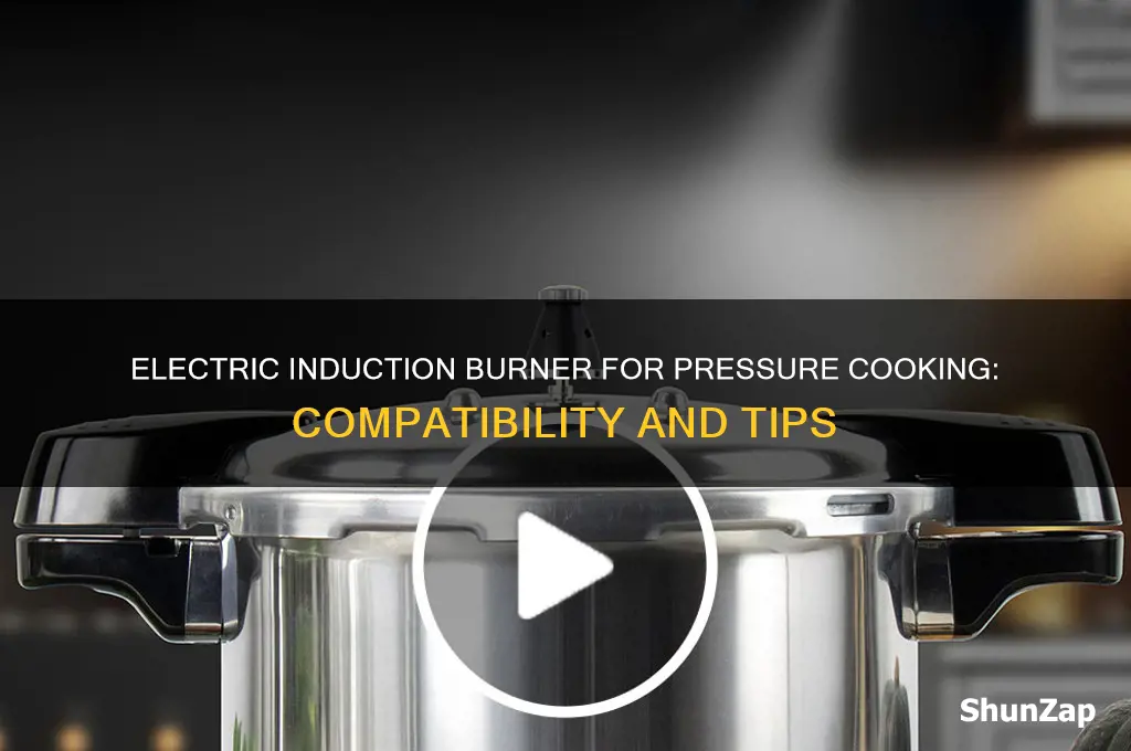 can i use a electric induction burner for pressure cooking